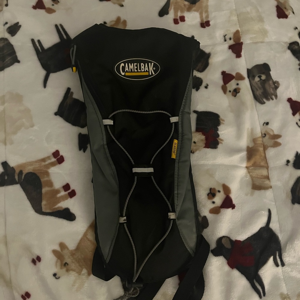 Camelback backpack